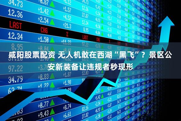 咸阳股票配资 无人机敢在西湖“黑飞”？景区公安新装备让违规者秒现形